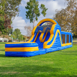 ❄️ Ace’s Arctic Dual Lane Obstacle Course- Wet